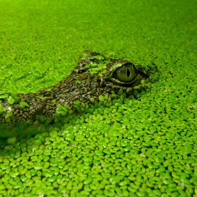 1920 x 1080 HD Wallpapers 1718